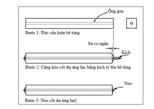 Dự ứng lực kéo sau