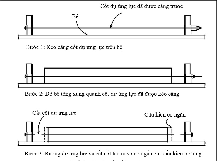 Dự ứng lực kéo căng trước