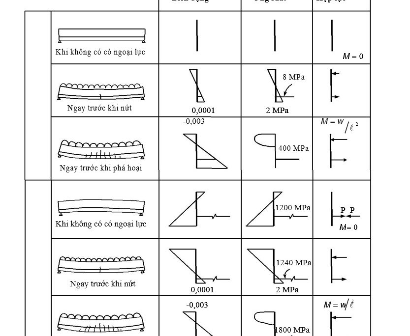 so sánh ứng xử của dầm một bê tông cốt thép thường (không dự ứng lực) với một dầm bê tông dự ứng lực