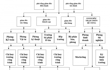 Sơ đồ tổ chức