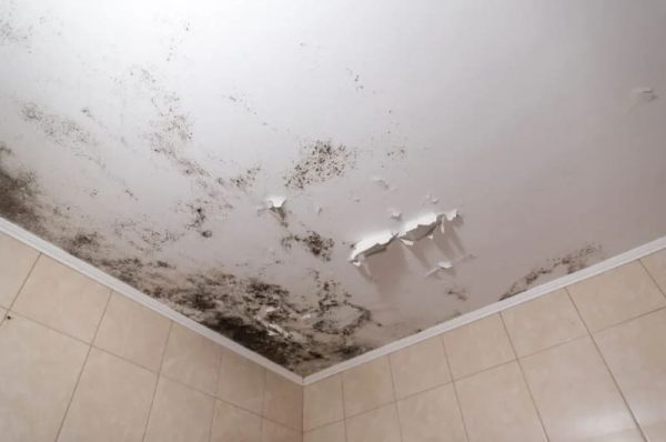 Không chống thấm kỹ càng sẽ gây ẩm mốc khó chịu cho gia chủ