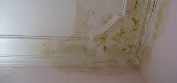 Bê tông thấm nước làm ảnh hưởng tính thẩm mỹ của công trình