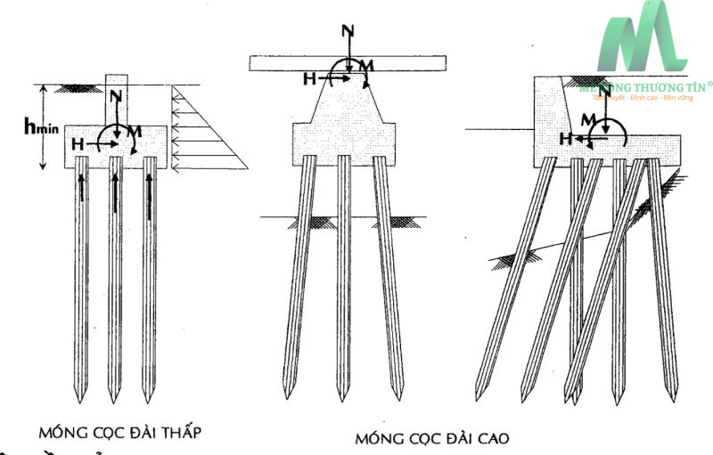 Các dạng bê tông móng cọc