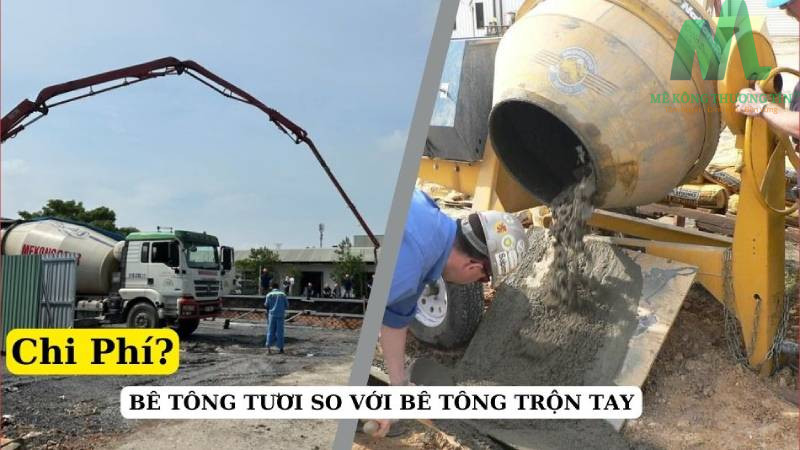 do-be-tong-tuoi
