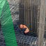nối thép cột